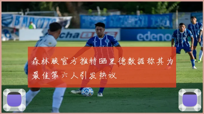 森林狼官方推特晒里德数据称其为最佳第六人引发热议